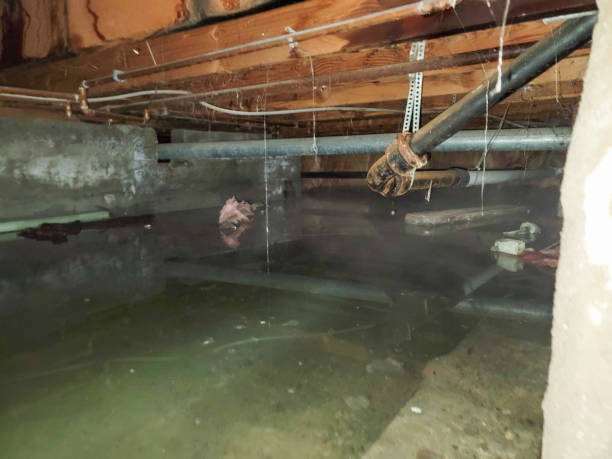 Best Emergency water damage restoration  in Troy, PA