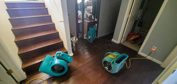 Best Water damage cleanup near me  in Troy, PA