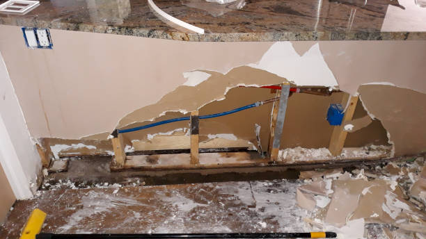 Best Water damage contractors near me  in Troy, PA