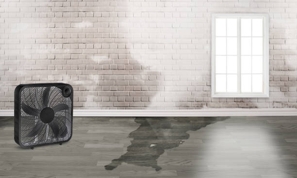 Best Water damage restoration cost  in Troy, PA